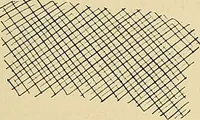 An illustration from The Roentgen rays in medicine and surgery as an aid in diagnosis and as a therapeutic agent : designed for the use of practitioners and students (1901)