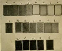 An illustration from The Roentgen rays in medicine and surgery as an aid in diagnosis and as a therapeutic agent : designed for the use of practitioners and students (1901)
