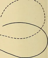 An illustration from The Roentgen rays in medicine and surgery as an aid in diagnosis and as a therapeutic agent : designed for the use of practitioners and students (1901)