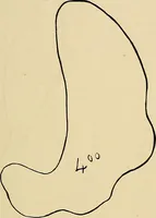 An illustration from The Roentgen rays in medicine and surgery as an aid in diagnosis and as a therapeutic agent : designed for the use of practitioners and students (1901)