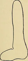 An illustration from The Roentgen rays in medicine and surgery as an aid in diagnosis and as a therapeutic agent : designed for the use of practitioners and students (1901)