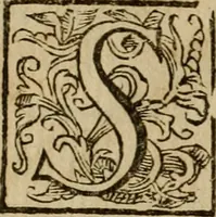 Picture 4 of 64 from Roma antica (1666), leaf 11