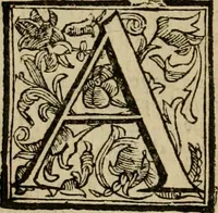 An illustration from Roma antica (1666)