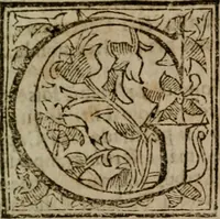 Picture 14 of 64 from Roma antica (1666), leaf 74