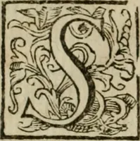 Picture 5 of 66 from Roma antica (1666), leaf 11