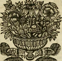 Picture 6 of 66 from Roma antica (1666), leaf 14