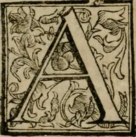 Picture 25 of 66 from Roma antica (1666), leaf 181
