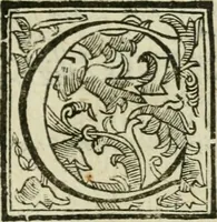 Picture 27 of 66 from Roma antica (1666), leaf 240