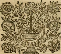 Picture 51 of 66 from Roma antica (1666), leaf 524