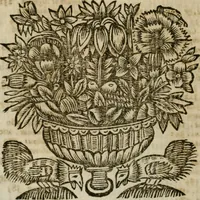 Picture 55 of 66 from Roma antica (1666), leaf 567