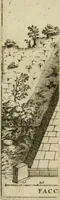 Picture 57 of 66 from Roma antica (1666), leaf 588