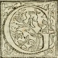 Picture 15 of 66 from Roma antica (1666), leaf 76