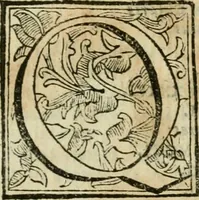 Picture 17 of 66 from Roma antica (1666), leaf 96