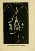 Picture 12 of 18 from Roma barocca (1919), leaf 287