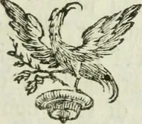 An illustration from Roma delle belle arti del disegno (1787)