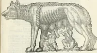 Picture 5 of 30 from Vrbis Romae topographia (1544), leaf 42