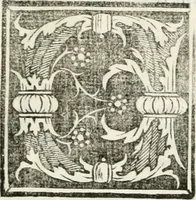 An illustration from Vrbis Romae topographia (1544)