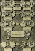 Picture 97 of 179 from Romanae et Graecae antiqvitatis monvmenta, e priscis nvmismatibvs (1645), leaf 189