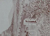 Picture 19 of 33 from Roman Africa; an outline of the history of the Roman occupation of North Africa, based chiefly upon inscriptions and monumental remains in that country. With 30 reproductions of original drawings by the author, and two maps (1902), leaf 174
