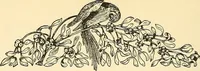 An illustration from Romance of the French abbeys (1905)