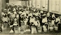 Picture 31 of 49 from The romance of lace, its historical background, its present manufacture, its varieties and uses (1920), leaf 33