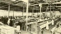 Picture 16 of 54 from The romance of lace, its historical background, its present manufacture, its varieties and uses (1920), leaf 25