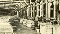 Picture 28 of 54 from The romance of lace, its historical background, its present manufacture, its varieties and uses (1920), leaf 31