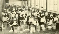 Picture 32 of 54 from The romance of lace, its historical background, its present manufacture, its varieties and uses (1920), leaf 33
