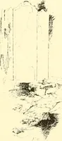 An illustration from The romance of lace, its historical background, its present manufacture, its varieties and uses (1920)