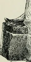 An illustration from Roman cities in Italy and Dalmatia (1910)