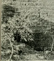 An illustration from Roman cities in Italy and Dalmatia (1910)