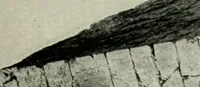 An illustration from Roman cities in Italy and Dalmatia (1910)