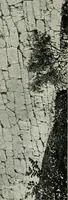 An illustration from Roman cities in Italy and Dalmatia (1910)