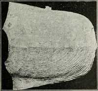 An illustration from Roman cities in Italy and Dalmatia (1910)