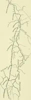 An illustration from Romano-British buildings and earthworks (1911)
