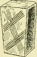 An illustration from Romano-British buildings and earthworks (1911)