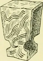 Picture 81 of 121 from Romano-British buildings and earthworks (1911), leaf 287