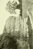 An illustration from Romano-British buildings and earthworks (1911)