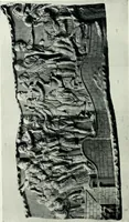An illustration from Roman sculpture from Augustus to Constantine (1907)