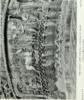 An illustration from Roman sculpture from Augustus to Constantine (1907)