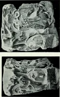 An illustration from Roman sculpture from Augustus to Constantine (1907)