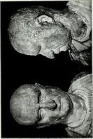 An illustration from Roman sculpture from Augustus to Constantine (1907)