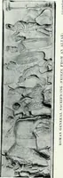 An illustration from Roman sculpture from Augustus to Constantine (1907)