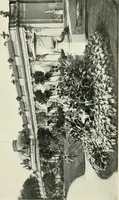An illustration from Romantic castles and palaces, as seen and described by famous writers; (1901)
