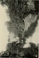 Picture 8 of 48 from Romantic castles and palaces, as seen and described by famous writers; (1901), leaf 102
