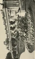 An illustration from Romantic castles and palaces, as seen and described by famous writers; (1901)