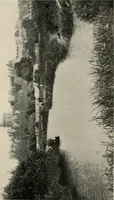 Picture 26 of 48 from Romantic castles and palaces, as seen and described by famous writers; (1901), leaf 288