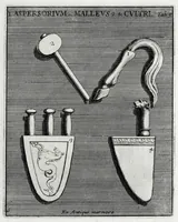 Picture 18 of 30 from Romanum museum, sive, Thesaurus eruditae antiquitatis : in quo gemmae, idola, insignia sacerdotalia, instrumenta sacrificijs inservientia, lucernae, vasa, bullae, armillae, fibulae, claves, annuli, tesserae, styli, strigiles, gutti, phialae lacrymatoriae, vota, signa militaria, &c. centum & septuaginta tabulis aeneis incisa referuntur ac dilucidantur (1690), leaf 327