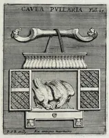 Picture 22 of 30 from Romanum museum, sive, Thesaurus eruditae antiquitatis : in quo gemmae, idola, insignia sacerdotalia, instrumenta sacrificijs inservientia, lucernae, vasa, bullae, armillae, fibulae, claves, annuli, tesserae, styli, strigiles, gutti, phialae lacrymatoriae, vota, signa militaria, &c. centum & septuaginta tabulis aeneis incisa referuntur ac dilucidantur (1690), leaf 367
