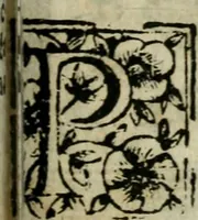 An illustration from Roma ricercata nel suo sito : con tutte le curiosità, che in essa si ritrouano, tanto antiche, come moderne, cioè chiese, monasterij, hospidali, collegij, seminarij, tempij, teatri, anfiteatri, naumachie, cerchi, fori, curie, palazzi, e statue, librarie, musei, pitture, sculture, & i nomi degli artefici (1687)